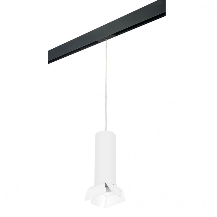 Комплект с трековым светильником Lightstar Rullo (216496+595887+202486) PRORP6496486