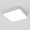 Потолочный светодиодный светильник Elektrostandard DLS034 18W 4200K a043017