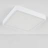 Потолочный светодиодный светильник Elektrostandard DLS034 18W 4200K a043017