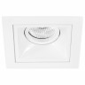 Комплект из светильника и рамки Lightstar Domino Quadro (214516+214506) D51606