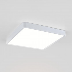 Потолочный светодиодный светильник Elektrostandard DLS034 24W 4200K a043018