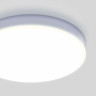 Потолочный светодиодный светильник Elektrostandard DLR043 10W 4200K a047940