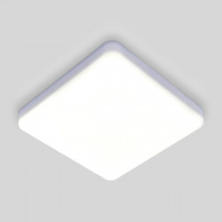 Потолочный светодиодный светильник Elektrostandard DLS043 10W 4200K a047941