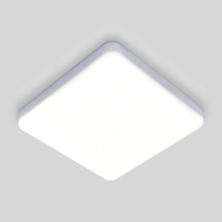 Потолочный светодиодный светильник Elektrostandard DLS043 10W 4200K a047941