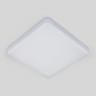 Потолочный светодиодный светильник Elektrostandard DLS043 10W 4200K a047941