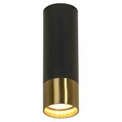 Потолочный светильник Lussole Loft LSP-8556