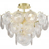 Потолочная люстра Vele Luce Orata VL1904L05