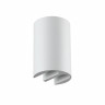 Настенный светильник Odeon Light NATURE 7126/4WL