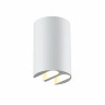 Настенный светильник Odeon Light NATURE 7126/4WL