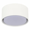 Потолочный светильник ST Luce ST164.502.01