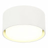 Потолочный светильник ST Luce ST164.502.01