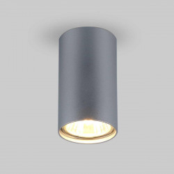 Потолочный светильник Elektrostandard 1081 5257 GU10 SL серебро a037714