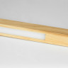 Торшер Lussole Modesto LSP-0907