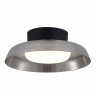 Потолочный светильник ST Luce Форей SL6019.412.01