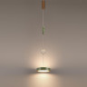 Подвесной светильник Odeon Light Riviera L-Vision 5450/32LA