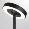 Ландшафтный светильник Odeon Light Disc Nature 7189/6GL