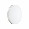 Настенно-потолочный светильник Sonex PALE 7625/ELN