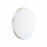 Настенно-потолочный светильник Sonex PALE 7625/ELN