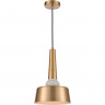Подвесной светильник Vele Luce Appassionato VL2144P01