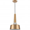 Подвесной светильник Vele Luce Appassionato VL2144P01