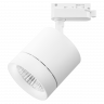 Трековый светодиодный светильник Lightstar Canno Led 301262