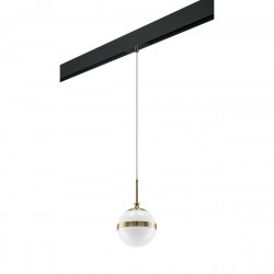 Комплект с трековым светильником Lightstar Globo (813111+595007) PRO813111