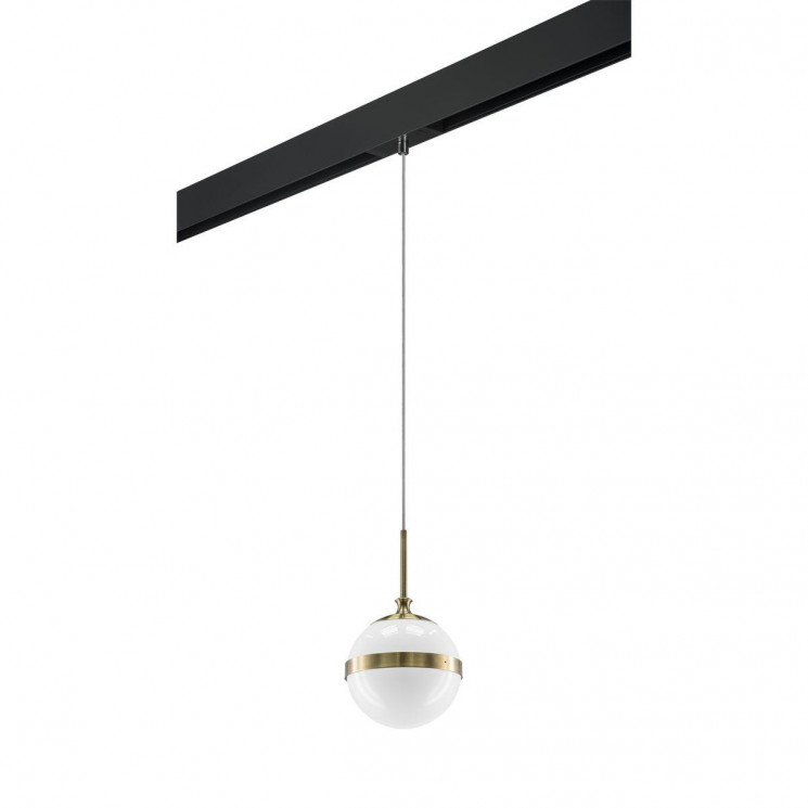 Комплект с трековым светильником Lightstar Globo (813111+595007) PRO813111