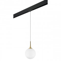 Комплект с трековым светильником Lightstar Globo (813032+595007) PRO813032