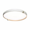 Настенно-потолочный светильник Sonex OLIDI WHITE 7646/DLN