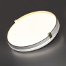 Настенно-потолочный светильник Sonex OLIDI WHITE 7646/DLN