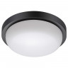 Уличный светодиодный светильник Novotech Street Opal 358017