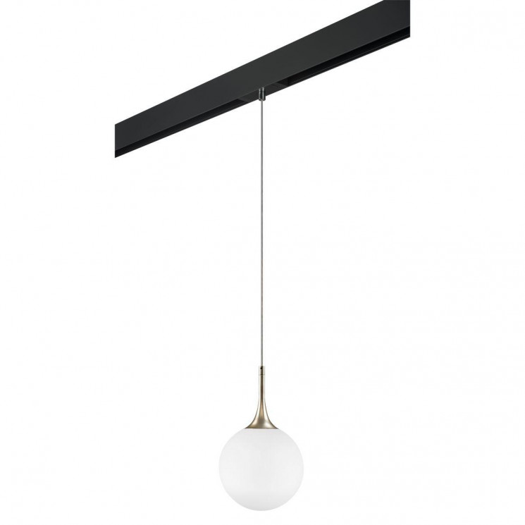Комплект с трековым светильником Lightstar Globo (813023+595007) PRO813023