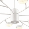 Люстра Lumion TORINA 8265/18