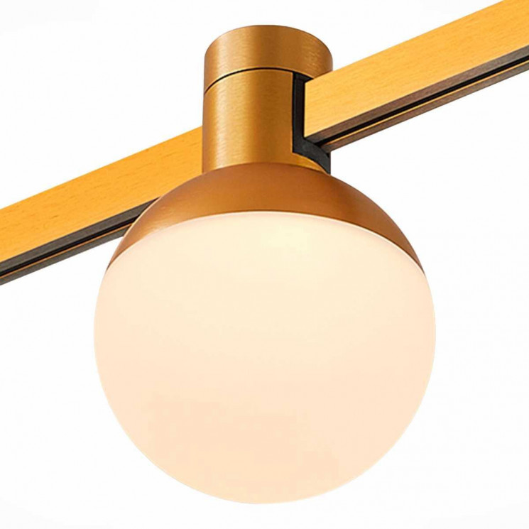 Трековый светильник ST LUCE ST815.246.05