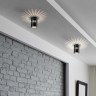 Потолочный светодиодный светильник Elektrostandard DLS026 7W 4200К черный a052837
