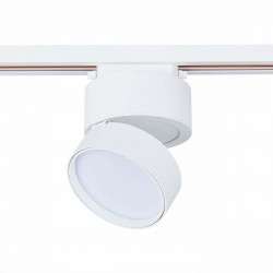 Трековый светодиодный светильник ST Luce ST651.546.14