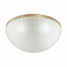 Потолочный светильник Odeon Light Modern Malaga 4936/4C