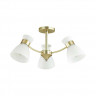 Потолочная люстра Lumion Comfi Wilma 4535/3C