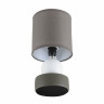 Настольная лампа Lumion Moderni Lalana 8182/1T