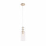 Подвесной светильник ST Luce Elegra SL1402.203.01
