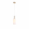 Подвесной светильник ST Luce Elegra SL1402.253.01