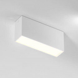 Потолочный светодиодный светильник Elektrostandard Block 25109/LED a066996