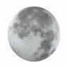 Настенно-потолочный светильник Sonex MOON 3084/CLN