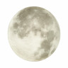Настенно-потолочный светильник Sonex MOON 3084/CLN