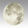 Настенно-потолочный светильник Sonex MOON 3084/CLN