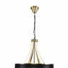 Подвесная люстра Lumion Demetra Moderni 8406/9