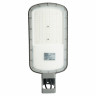 Уличный консольный светодиодный светильник Feron SP3077 51808