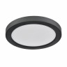 Потолочный светильник Sonex Nebula Black Mitra Led 7788/12L