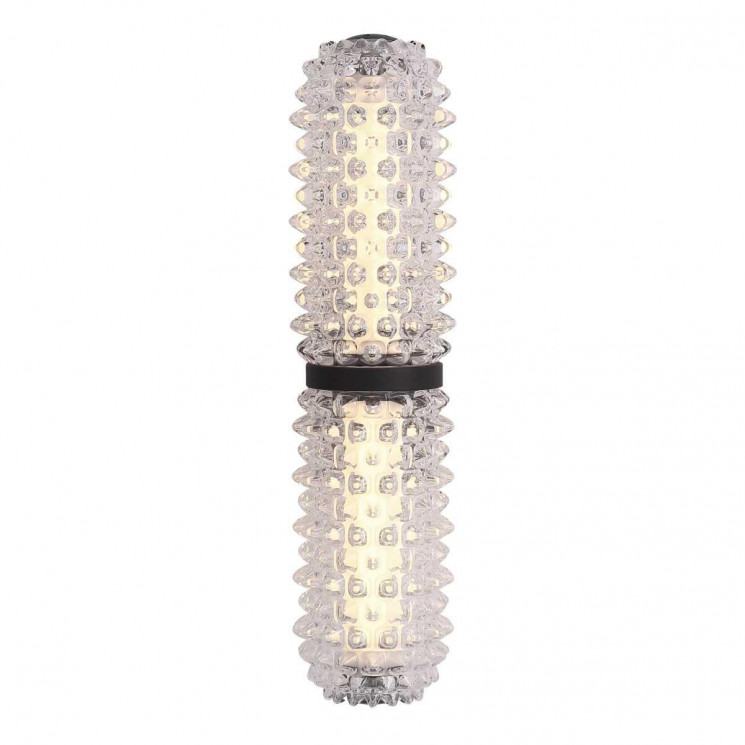 Настенный светильник ST Luce SAGUARO SL6144.401.01