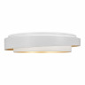 Потолочный светодиодный светильник ST Luce Crosby SLE6009-502-01